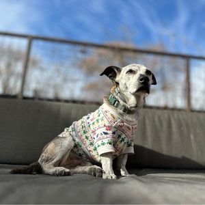 Meet your Posher, Claire